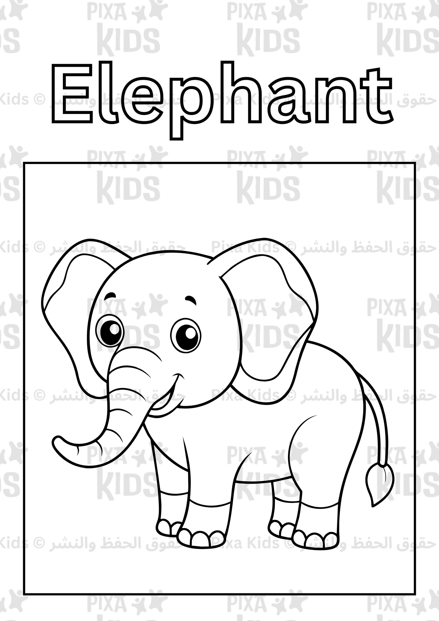 Animals Coloring Book