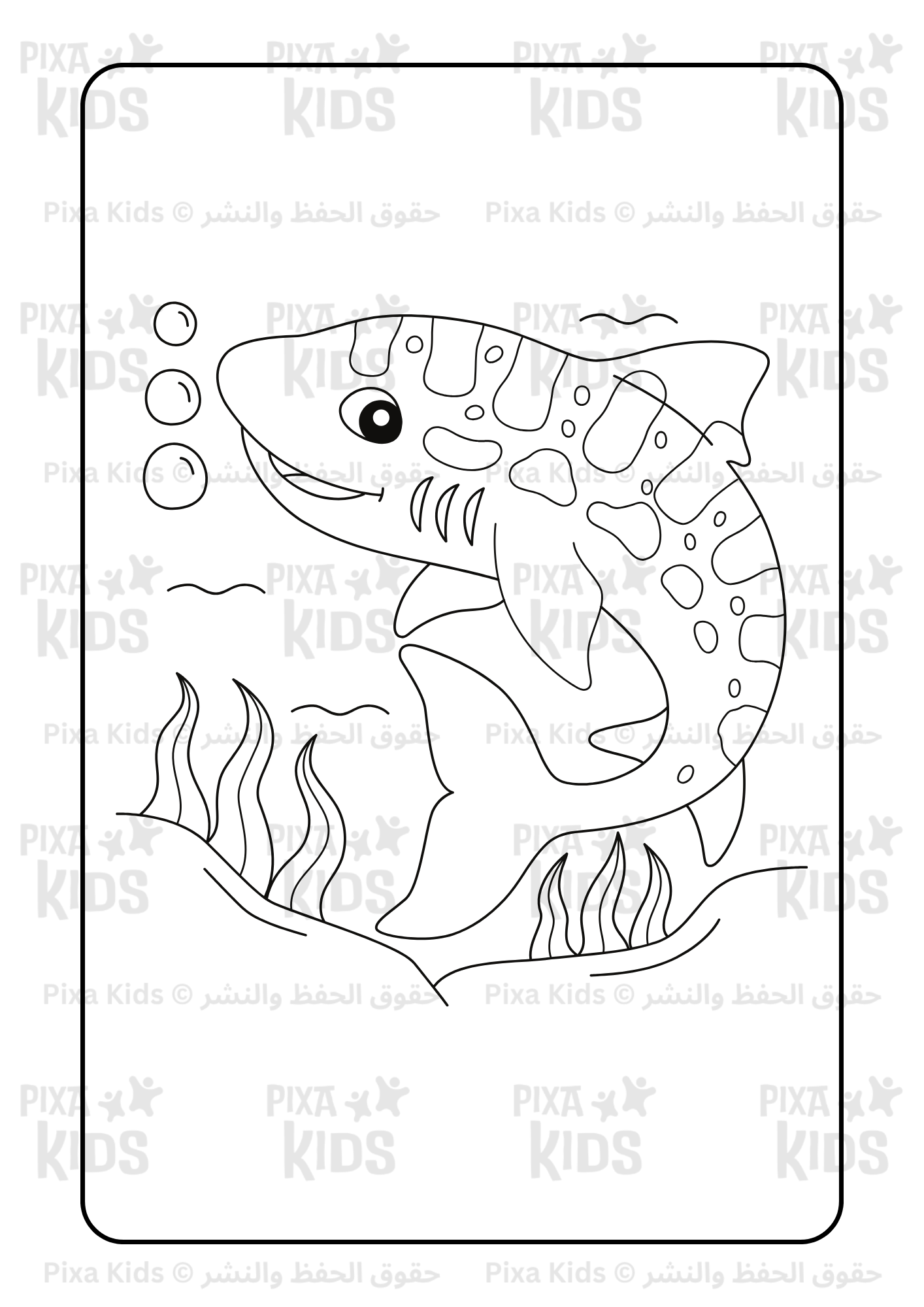 Sea Animals Coloring book